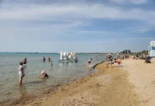 Роспотребнадзор предупреждает об опасностях, но отдых в Анапе и Екатеринбурге продолжается rospotrebnadzor preduprezhdaet ob opasnostyah no otdyh v anape i ekaterinburge prodolzhaetsya-uralnovosti-ru-174853487500-0