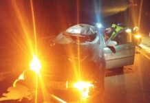 shevrole snizil riski posle dtp s losem na trassah sverdlovskoj oblasti-uralnovosti-ru-174608402600-0