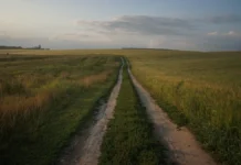 Важно знать о традициях и запретах на Николу Вешнего 22 мая vazhno znat o tradicziyah i zapretah na nikolu veshnego 22 maya-uralnovosti-ru-174760233200-0