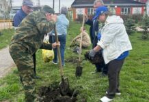 Владимир Путин поддержал инициативу «Сад памяти» о высадке 27 млн деревьев свердловчанами vladimir putin podderzhal inicziativu sad pamyati o vysadke 27 mln derevev sverdlovchanami-uralnovosti-ru-174660860800-0