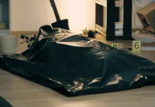 Жителей Новосибирска и Москвы будоражат необычные происшествия zhitelej novosibirska i moskvy budorazhat neobychnye proisshestviya-uralnovosti-ru-174833447200-0