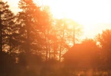 День Варнавы предлагает советы по сохранению здоровья и привлечению счастья den varnavy predlagaet sovety po sohraneniyu zdorovya i privlecheniyu schastya-uralnovosti-ru-0