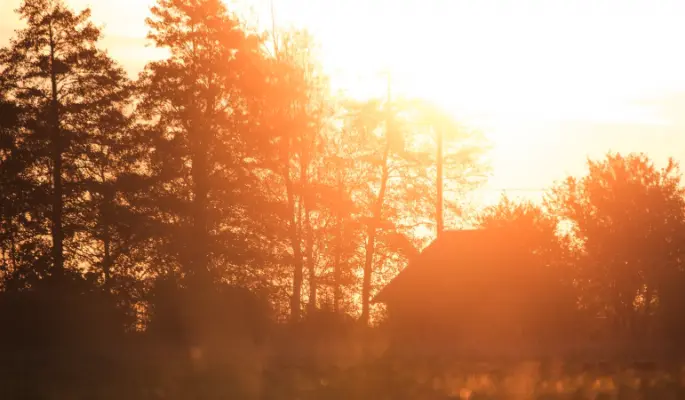 Что нельзя делать 24 июня, в День Варнавы, чтобы не загубить здоровье