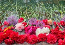 Дэвид Бойл оставил яркий след в мировой культуре, вдохновляя наследие devid bojl ostavil yarkij sled v mirovoj kulture vdohnovlyaya nasledie-uralnovosti-ru-0