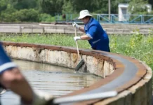 Дмитрий Патрушев сообщил о масштабной модернизации очистных сооружений Минприроды dmitrij patrushev soobshhil o masshtabnoj modernizaczii ochistnyh sooruzhenij minprirody-uralnovosti-ru-0