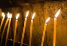 dragolyub aczkovich i ego rabota s muzeem kultury czygan v belgrade-uralnovosti-ru-0