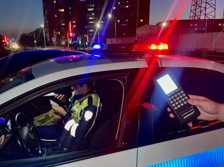 25 пьяных водителей поймали на дорогах Курганской области