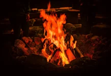 Карри Надо из Гарвардской школы общественного здравоохранения о влиянии дыма на иммунитет karri nado iz garvardskoj shkoly obshhestvennogo zdravoohraneniya o vliyanii dyma na immunitet-uralnovosti-ru-0