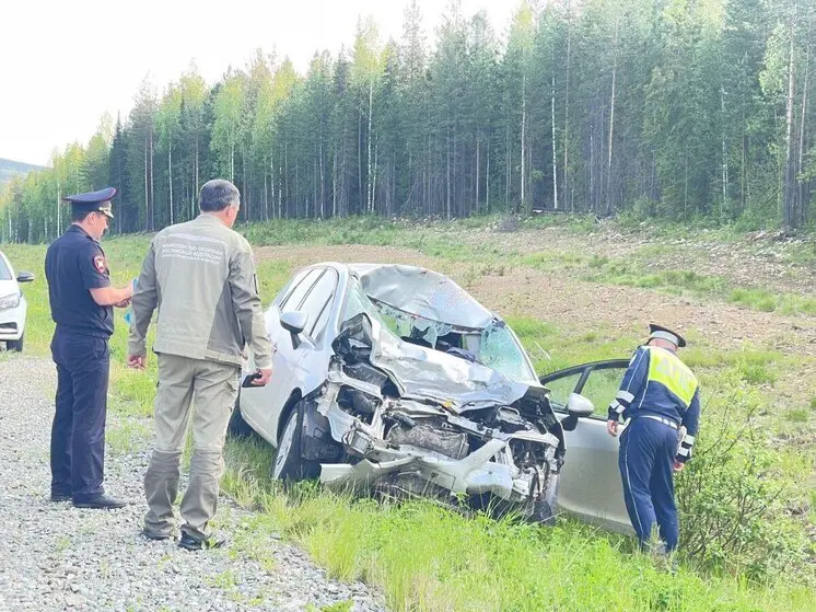 На дороге «Карпинск – Кытлым» погиб водитель квадроцикла