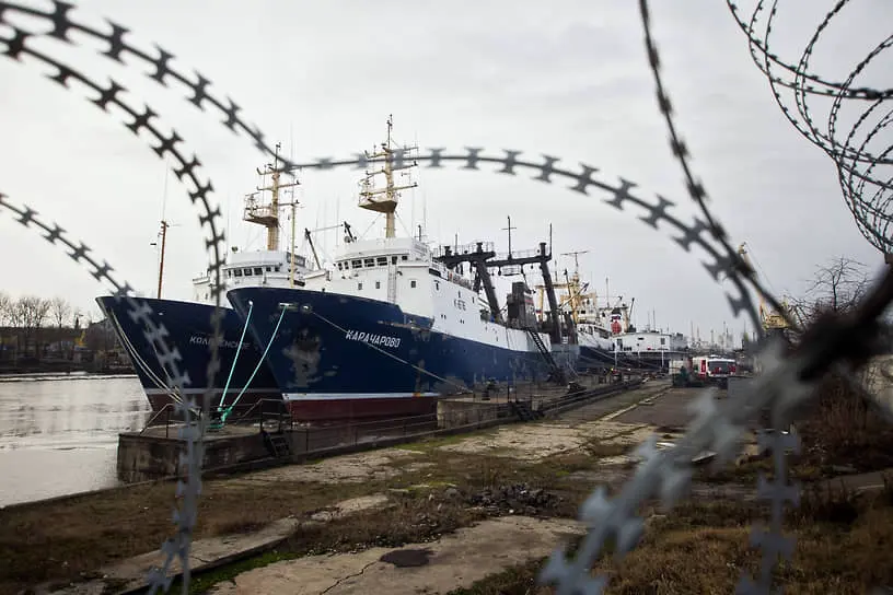 Сотрудничество Росрыболовства и ГК «Норебо» открывает новые перспективы-0