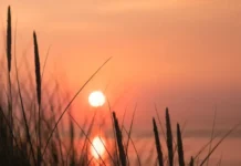 Светлый день Иустина Философа и советы по проведению Устинова дня svetlyj den iustina filosofa i sovety po provedeniyu ustinova dnya-uralnovosti-ru-0