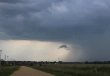 Свежие дожди и грозы освежат Свердловскую область на этой неделе svezhie dozhdi i grozy osvezhat sverdlovskuyu oblast na etoj nedele-uralnovosti-ru-174876779200-0
