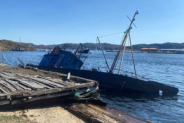 Вводная картинка