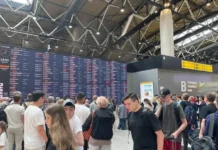 Аэропорты Пулково и Сочи предложили решения для пассажиров aeroporty pulkovo i sochi predlozhili resheniya dlya passazhirov-uralnovosti-ru-0