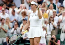 Анастасия Павлюченкова привлекла внимание Уимблдона благодаря модернизации Hawk-Eye anastasiya pavlyuchenkova privlekla vnimanie uimbldona blagodarya modernizaczii -uralnovosti-ru-0