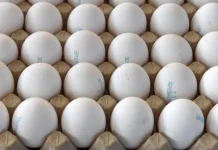 ЦМАКП предложил заморозку цен на продукты с участием Минэкономразвития czmakp predlozhil zamorozku czen na produkty s uchastiem minekonomrazvitiya-uralnovosti-ru-0