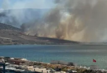 Экстремальная жара и лесные пожары в Турции глазами экспертов АТОР и Екатерины Караджи в Анталии ekstremalnaya zhara i lesnye pozhary v turczii glazami ekspertov ator i ekateriny karadzhi v antalii-uralnovosti-ru-0