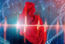 Эзра Эл и НИУ ВШЭ исследуют влияние сердца на восприятие мира ezra el i niu vshe issleduyut vliyanie serdcza na vospriyatie mira-uralnovosti-ru-0