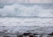 Илья Асмаковский дает советы по безопасному отдыху на пляжах Приморья ilya asmakovskij daet sovety po bezopasnomu otdyhu na plyazhah primorya-uralnovosti-ru-0