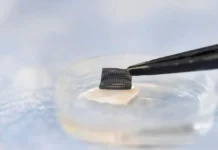 Мичиганский университет разработал пластырь для диагностики меланомы дома michiganskij universitet razrabotal plastyr dlya diagnostiki melanomy doma-uralnovosti-ru-0