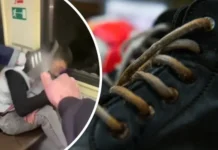 Судебный процесс против Даниила Петухова и Руслана Калюжного в Москве sudebnyj proczess protiv daniila petuhova i ruslana kalyuzhnogo v moskve-uralnovosti-ru-0