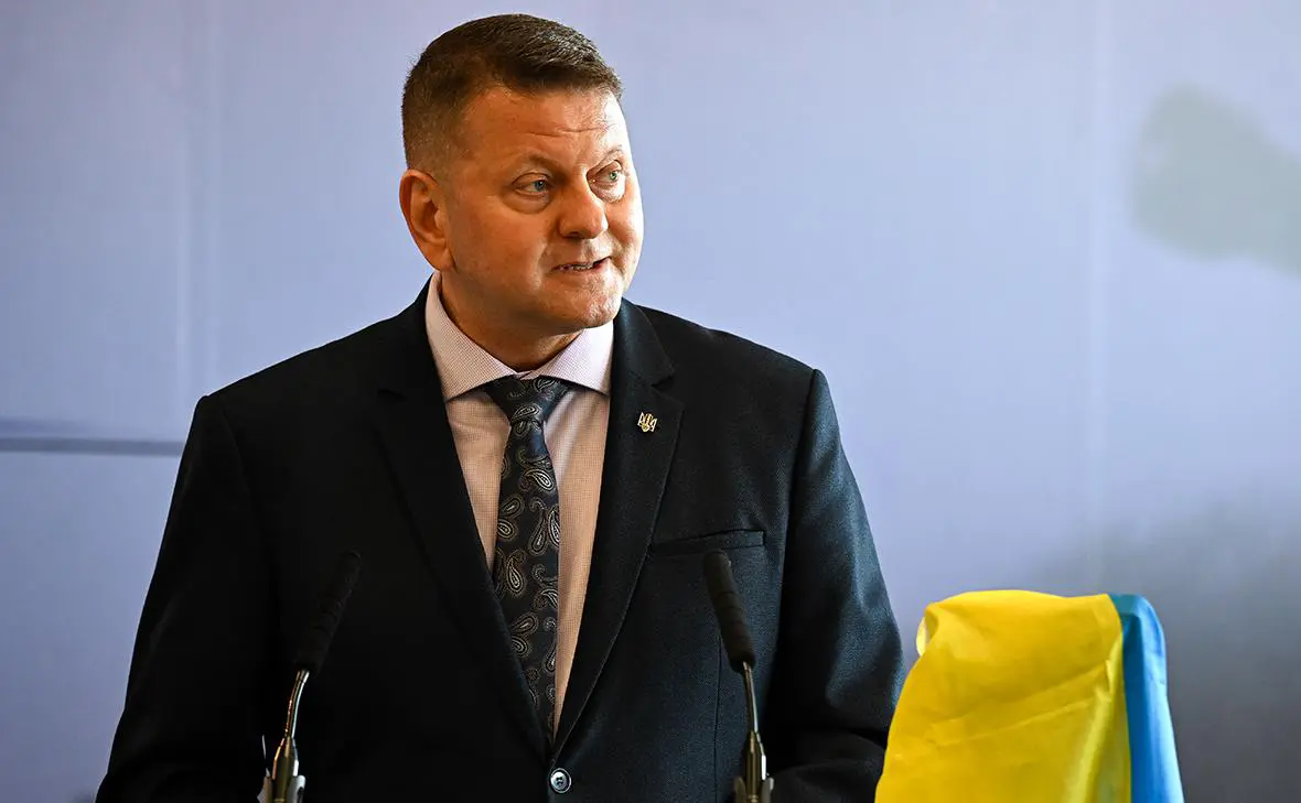 Валерий Залужный (Finnbarr Webster / Getty Images)