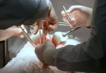 Врачи ГБ №36 и Евгений Козлов спасли многодетную мать в Екатеринбурге vrachi gb 36 i evgenij kozlov spasli mnogodetnuyu mat v ekaterinburge-uralnovosti-ru-0