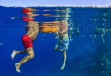 Fun & Sun, Anex и «Интурист» развивают рынок туризма i inturist razvivayut rynok turizma-uralnovosti-ru-0