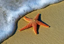 mozhet stat klyuchom k spaseniyu  -uralnovosti-ru-0