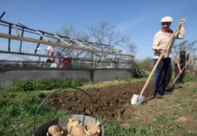 Никита Чаплин и Союз дачников Подмосковья предлагают семь дел для лета nikita chaplin i soyuz dachnikov podmoskovya predlagayut sem del dlya leta-uralnovosti-ru-0