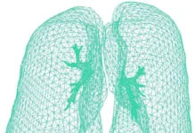 permskij politeha i federalnyj nauchnyj czentr sozdayut innovaczionnuyu dyhatelnuyu model-uralnovosti-ru-0