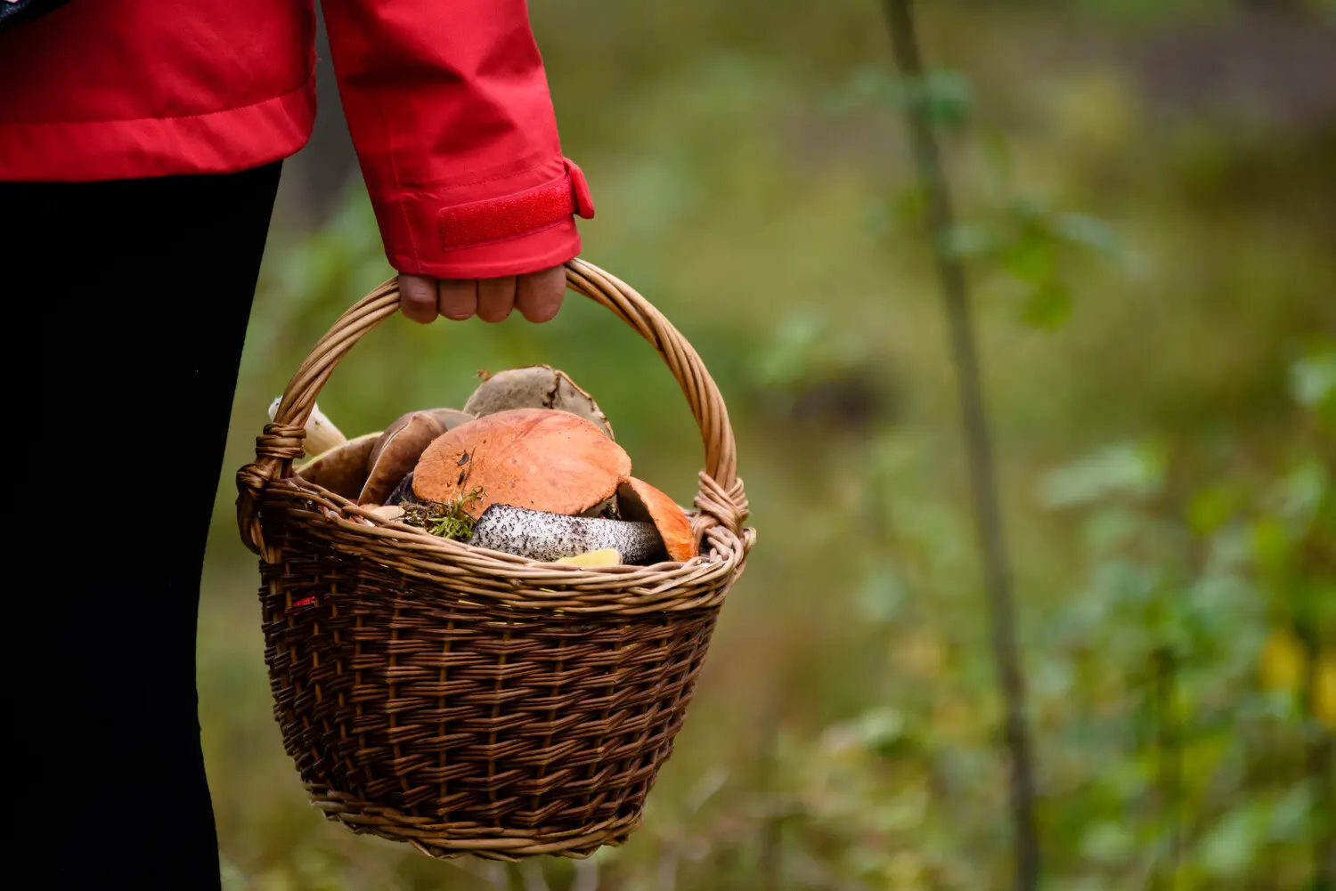 Поисковые отряды Тульской, Липецкой и Ленинградской областей решают проблемы связи-0