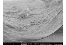 СПбГУ представляет инновационные полимеры в аналитической химии с Людмилой Карцовой spbgu predstavlyaet innovaczionnye polimery v analiticheskoj himii s lyudmiloj karczovoj-uralnovosti-ru-0