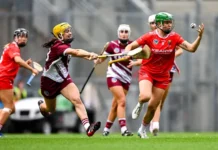 sportivnye tradiczii hyorlinga i podvodnogo hokkeya v sovremennom mire-uralnovosti-ru-0