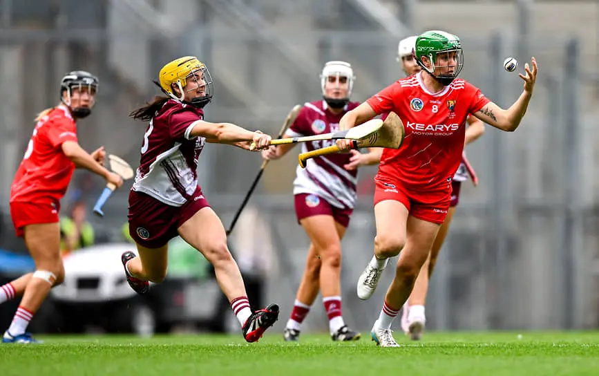 Спортивные традиции хёрлинга и подводного хоккея в современном мире-0