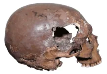 Во Флорентийском университете в пещере Арене-Кандиде обнаружили модификацию черепа vo florentijskom universitete v peshhere arenekandide obnaruzhili modifikacziyu cherepa-uralnovosti-ru-0