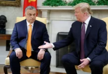 Закулисный звоночек Трампа Орбану ставит под сомнение прорыв Украины в ЕС zakulisnyj zvonochek trampa orbanu stavit pod somnenie proryv ukrainy v es-uralnovosti-ru-0