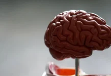 Андрей Кондрахин и Константин Терновой обсудили профилактику инсульта в Пензе и Китае andrej kondrahin i konstantin ternovoj obsudili profilaktiku insulta v penze i kitae-uralnovosti-ru-0