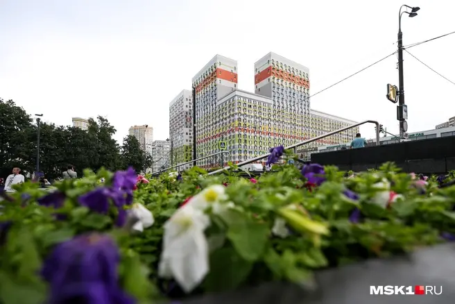 Многие покупают студии «на вырост», в качестве первого жилья для подросших детей | Источник: Артём Устюжанин / MSK1.RU