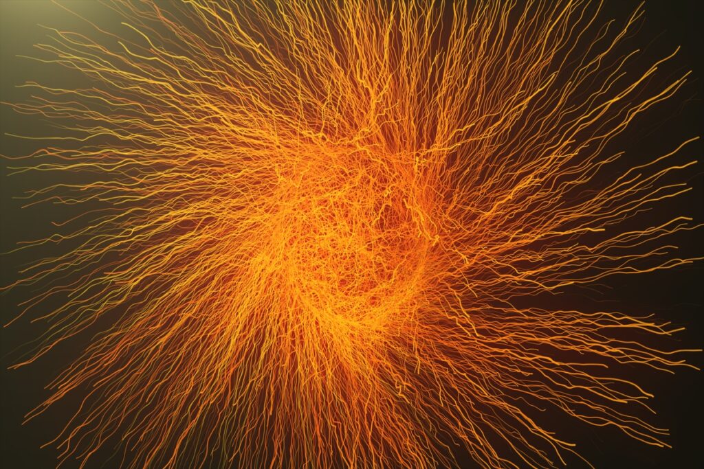 Асимметричная ветвящаяся фрактальная сеть