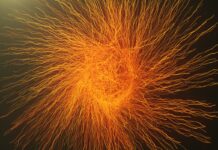 Тайна, которая может быть старше Вселенной Асимметричная ветвящаяся фрактальная сеть