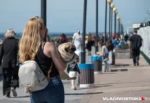 Ассоциация туроператоров России и рост интереса к Китаю после отмены виз assocziacziya turoperatorov rossii i rost interesa k kitayu posle otmeny viz-uralnovosti-ru-0