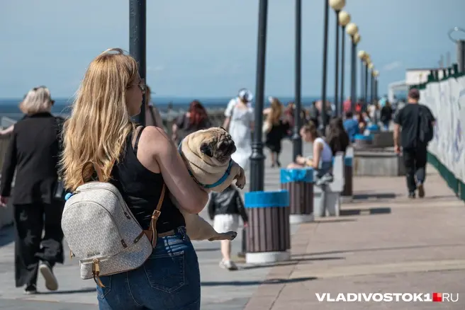 Китай за неделю стал главным курортом россиян и подорожал | Источник: Елена Буйвол / VLADIVOSTOK1.RU