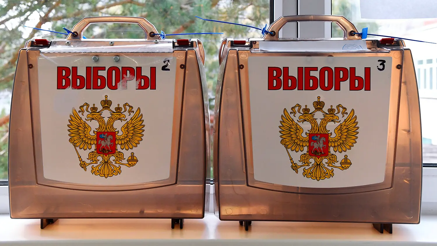 Дмитрий Махонин, Александр Богомаз и другие лидеры губернаторских выборов в России-0