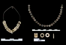 Исследование древних украшений Paradentalium inaequale и sexangulum из пещер Эль-Тесоро и Прадо-Варгас issledovanie drevnih ukrashenij i iz peshher eltesoro i pradovargas-uralnovosti-ru-0