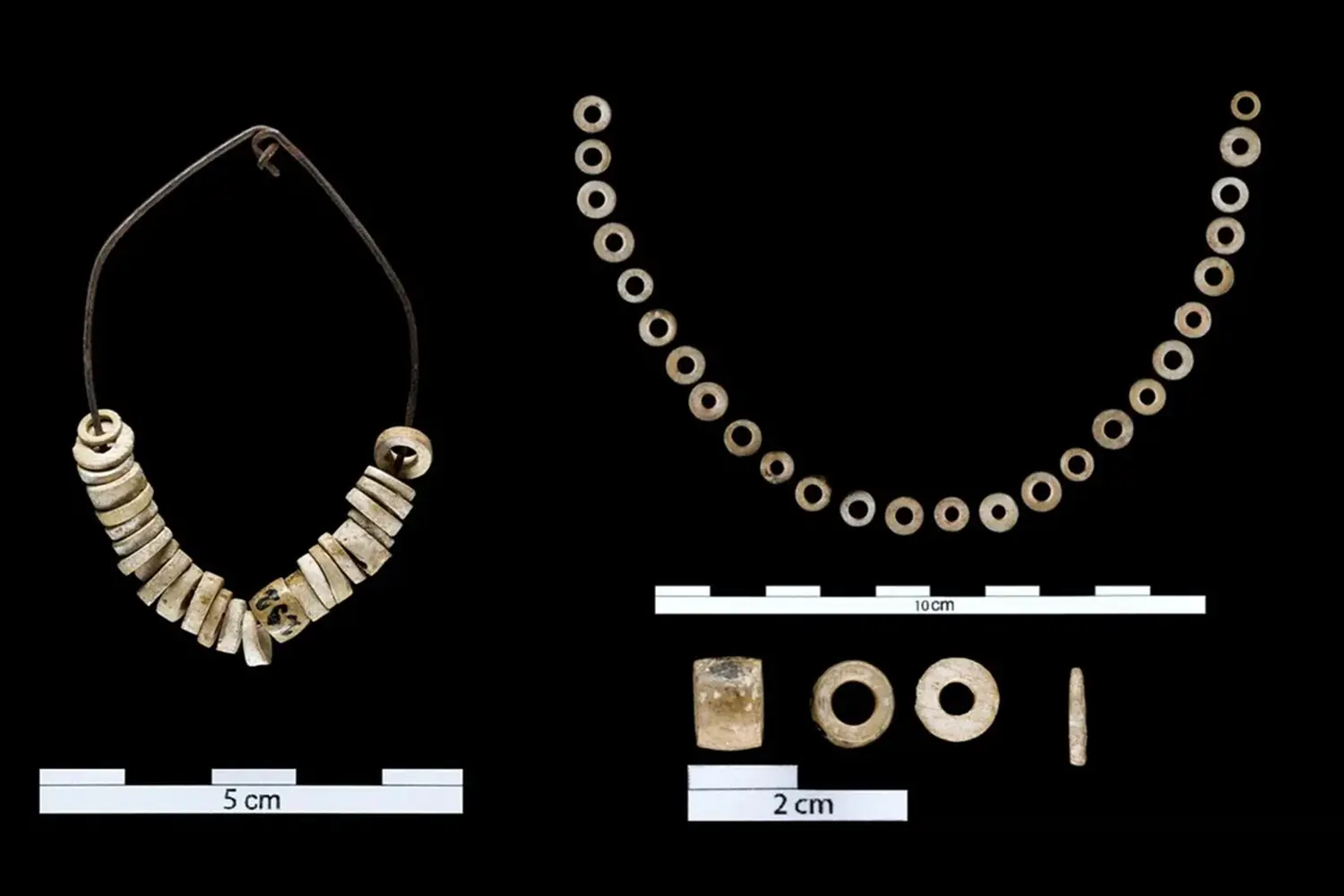 Исследование древних украшений Paradentalium inaequale и sexangulum из пещер Эль-Тесоро и Прадо-Варгас-0