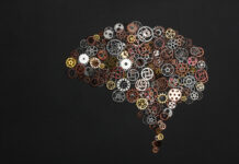 Эта техника может перепрограммировать разум Изображение мозга из шестерёнок