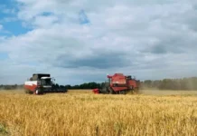 Константин Потетня и Артем Садов из УрГАУ представляют инновацию с поддержкой Фонда содействия инновациям konstantin potetnya i artem sadov iz urgau predstavlyayut innovacziyu s podderzhkoj fonda sodejstviya innovacziyam-uralnovosti-ru-0