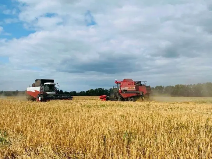 Константин Потетня и Артем Садов из УрГАУ представляют инновацию с поддержкой Фонда содействия инновациям-0
