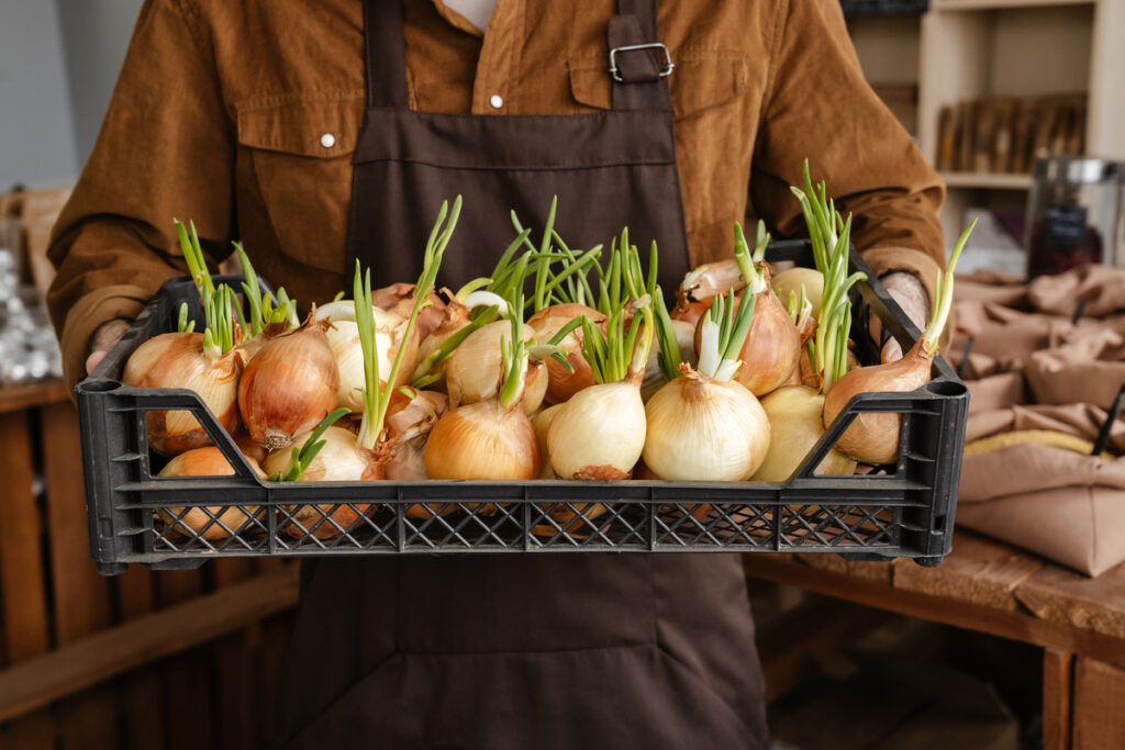 Мужчина в фартуке, держащий лук на рынке